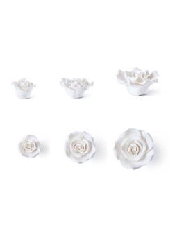 Rosa Blanca 40/50/60