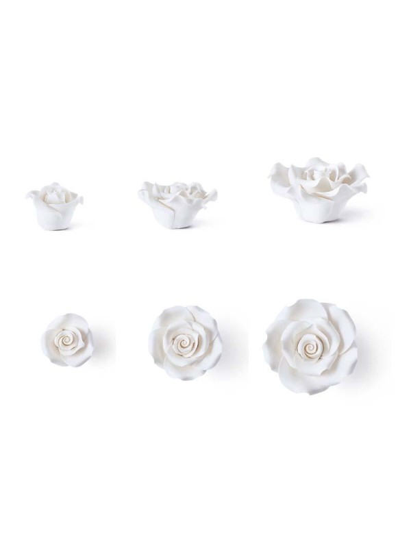 Rosa Blanca 40/50/60