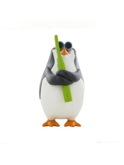 Madagascar *Skipper*